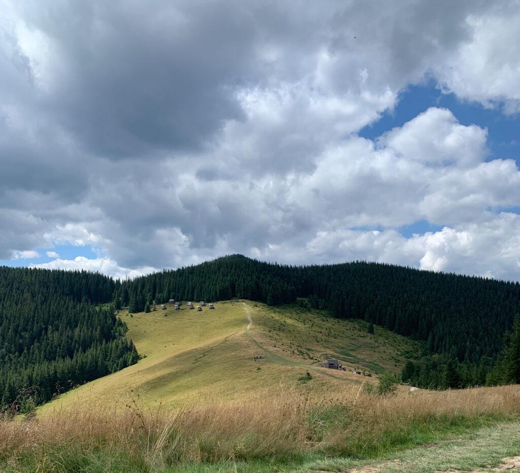 Село Микуличин – полонина Явірник